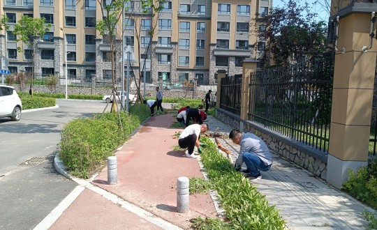 8.长白山运营公司山河府项目组进行市政道路拓荒工作_副本.jpg